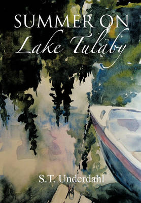 Book cover for Summer On Lake Tulaby