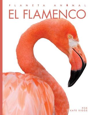 Book cover for El Flamenco
