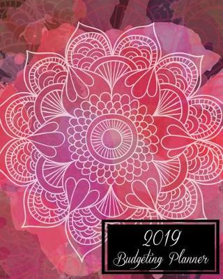 Book cover for 2019 Budgeting Planner