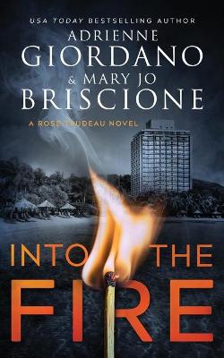 Book cover for Into The Fire