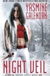 Book cover for Night Veil