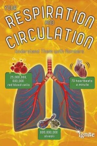 Cover of Your Respiration and Circulation: Understand Them with Numbers (Your Body by Numbers)