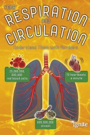 Cover of Your Body by Numbers Your Respiration and Circulation Understand Them with Numbers