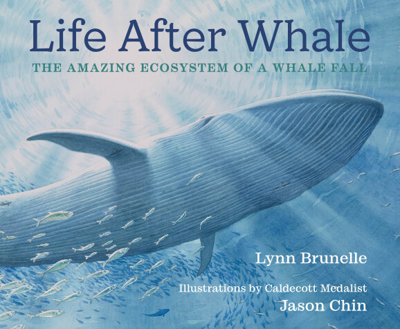 Book cover for Life After Whale