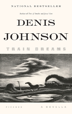 Book cover for Train Dreams