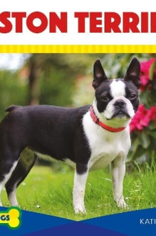 Cover of Boston Terriers