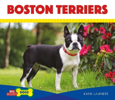 Book cover for Boston Terriers