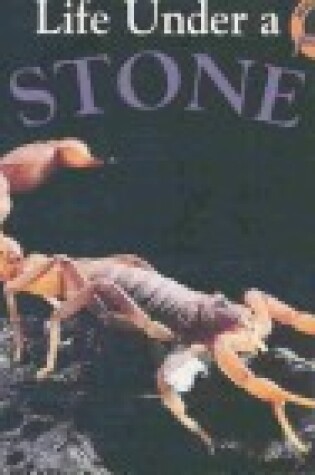 Cover of Life Under a Stone