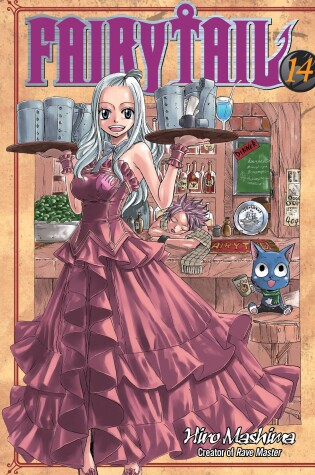 Cover of Fairy Tail 14