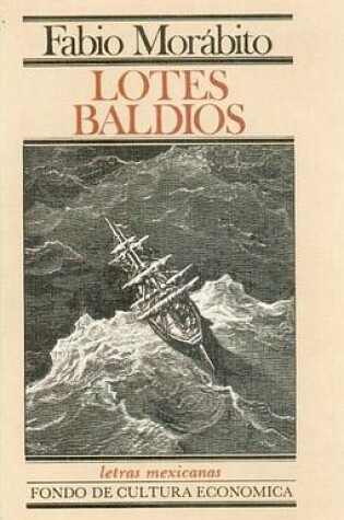 Cover of Lotes Baldios