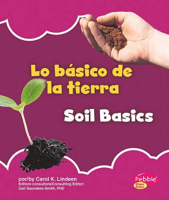 Book cover for Lo B�sico de la Tierra/Soil Basics