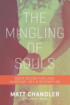 Book cover for The Mingling of Souls