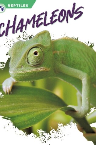 Cover of Chameleons