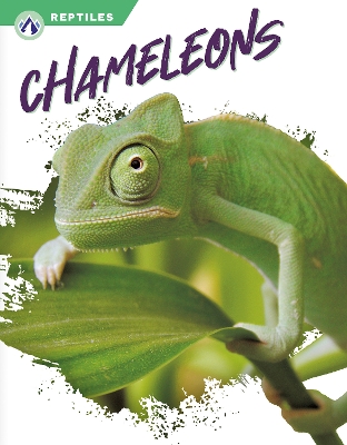 Book cover for Chameleons