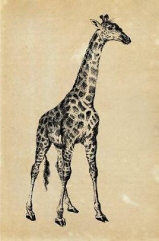 Cover of Giraffe Giraffa Camelopardalis