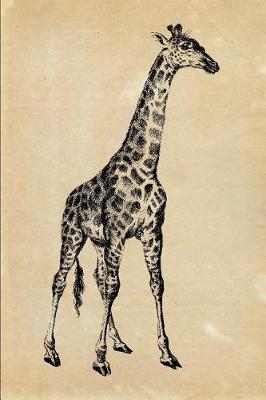 Book cover for Giraffe Giraffa Camelopardalis