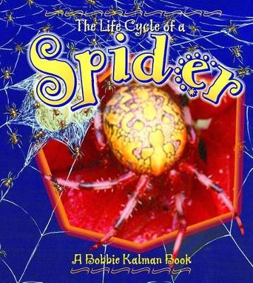 Book cover for The Life Cycle of a Spider