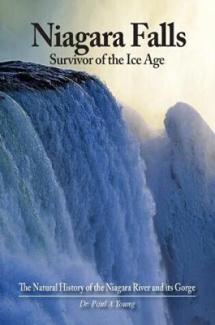 Cover of Niagara Falls