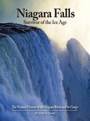 Book cover for Niagara Falls