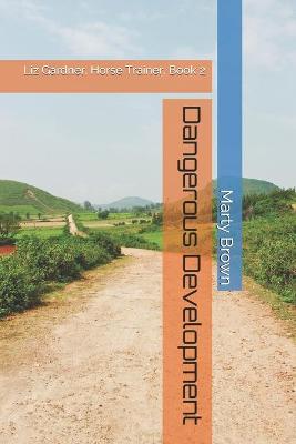 Book cover for Dangerous Development