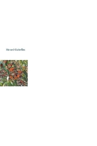 Cover of Monarch Butterflies