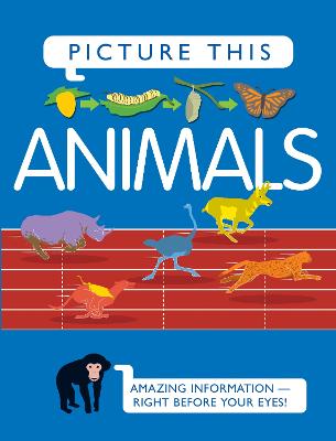 Book cover for Picture This! Animals