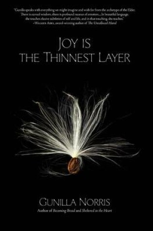 Cover of Joy Is the Thinnest Layer