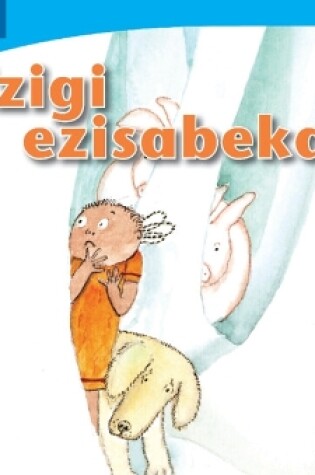 Cover of Izigi ezisabekako (IsiNdebele)