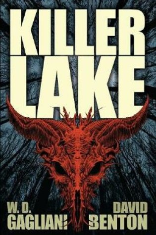 Cover of Killer Lake
