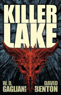 Book cover for Killer Lake