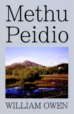 Book cover for Methu Peidio