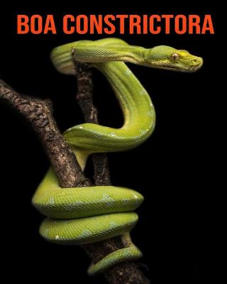 Book cover for Boa constrictora