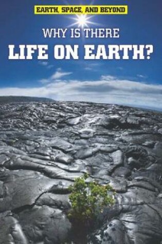 Cover of Why Is There Life on Earth?