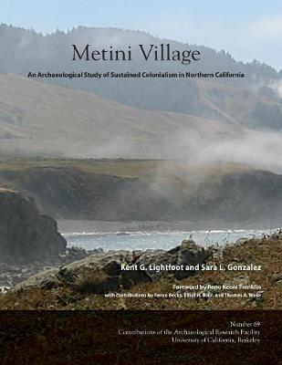 Cover of Metini Village