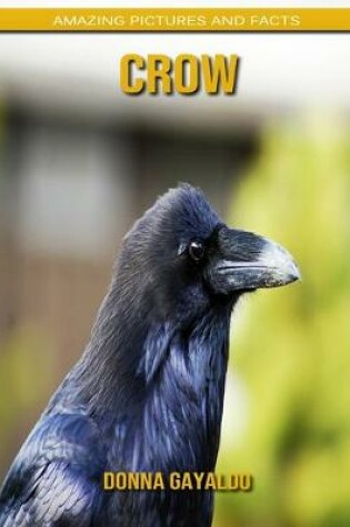 Cover of Crow