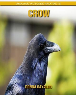 Book cover for Crow