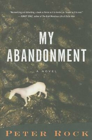 Cover of My Abandonment