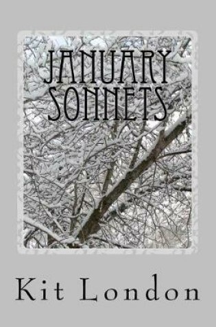 Cover of January Sonnets