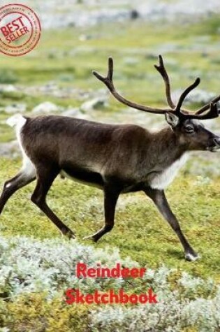 Cover of Reindeer Sketchbook