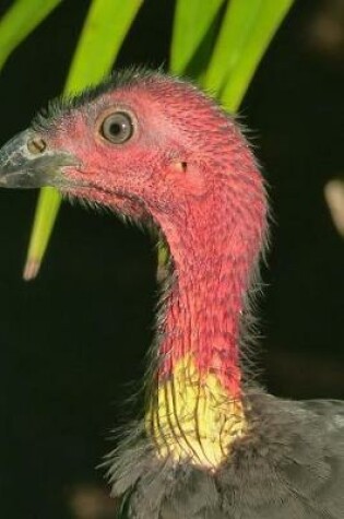 Cover of Australian Brush Turkey Profile Journal