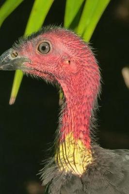 Book cover for Australian Brush Turkey Profile Journal