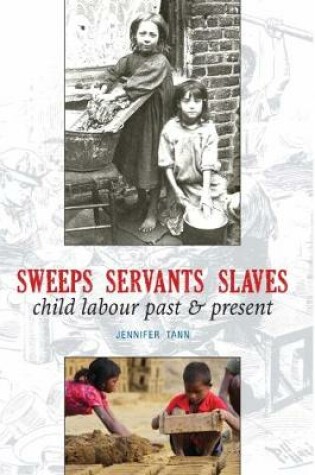 Cover of Sweeps Servants Slaves