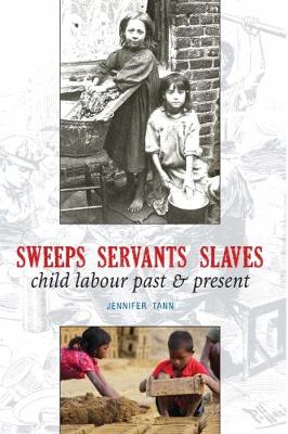 Book cover for Sweeps Servants Slaves