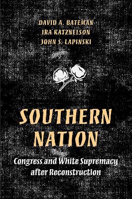 Book cover for Southern Nation