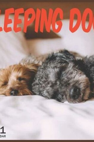 Cover of Sleeping Dog