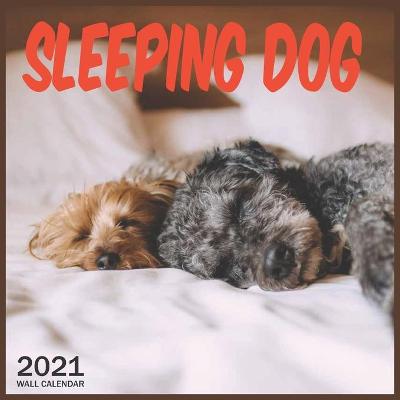 Book cover for Sleeping Dog