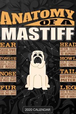 Book cover for Anatomy Of A Mastiff