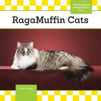 Book cover for Ragamuffin Cats