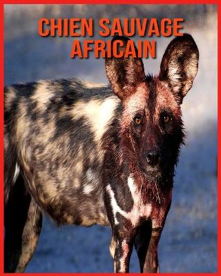 Book cover for Chien Sauvage Africain