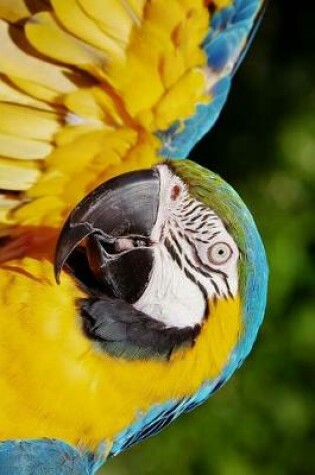 Cover of Blue and Gold Macaw with Raised Wing Journal